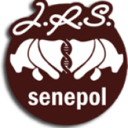 Logo da empresa JRS Senepol